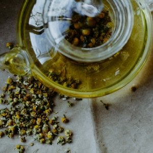 Chamomile Health and Wellbeing Benefits | Alice England